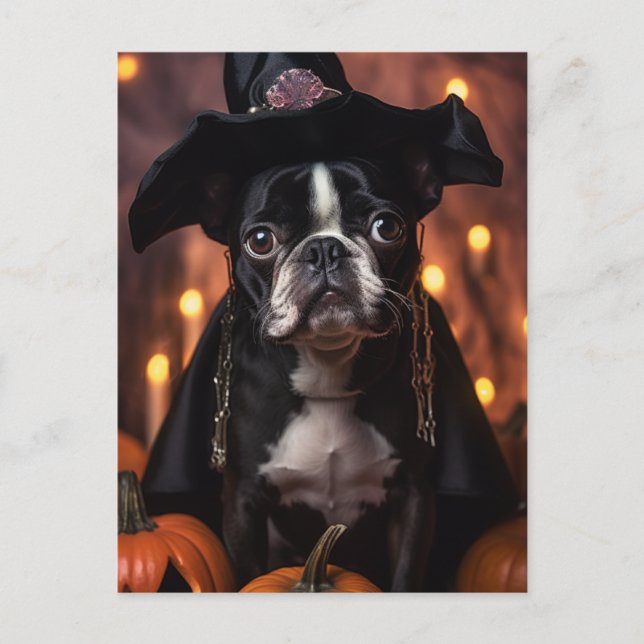 Adsible Halloween Boston Terrier Hund Vykort (Framsida)