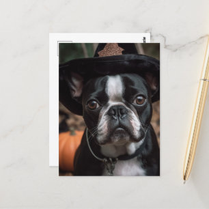 Adsible Halloween Boston Terrier Vykort