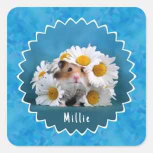 Adsible hamster in White Daisy Bouquet Fyrkantigt Klistermärke