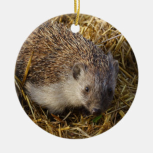 Adsible Hedgehog in Stubble Fält Julgransprydnad Keramik