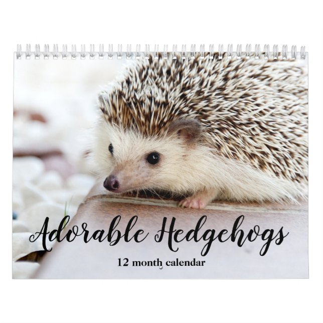 Adsible Hedgehogs 2026 Kalender (Omslag)