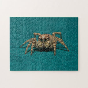 Adsible Jumping Spider Animal Photography Pussel