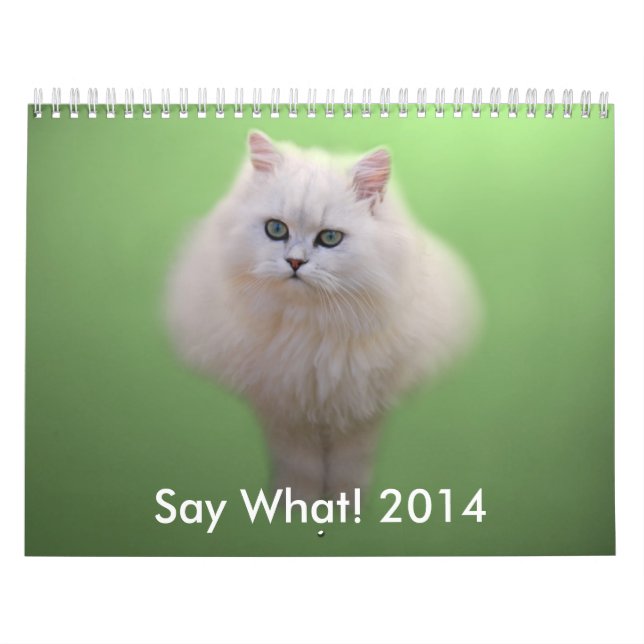Adsible Kitten Calendar Kalender (Omslag)