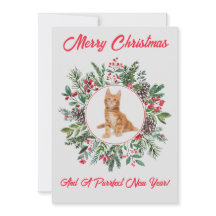Adsible Kitten Flat Helgdag Card
