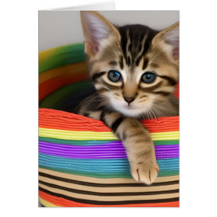 Adsible Kitten i en färglös Basket Blank Inside Hälsningskort