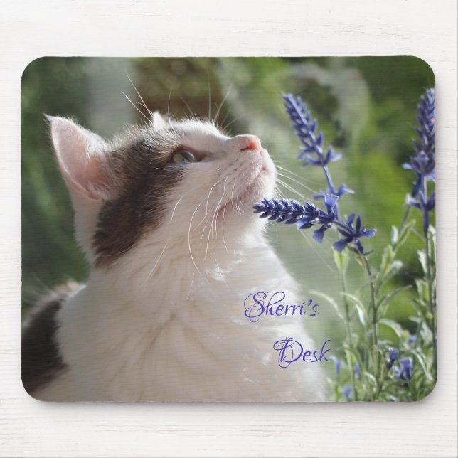 Adsible Kitten in the Garden *personalize* Musmatta (Framsidan)