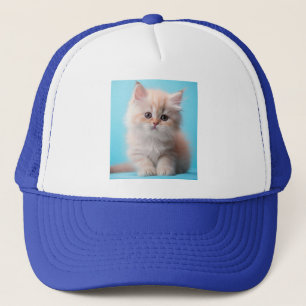 Adsible Kitten med blå bakgrund Keps