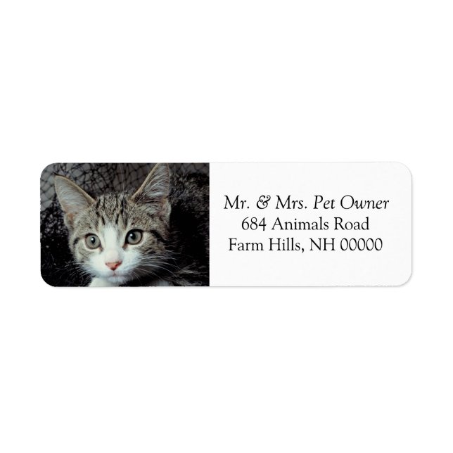 Adsible Kitten Returetiketters Stickers Returadress Etikett (Framsidan)