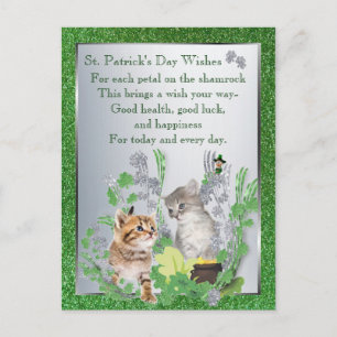 Adsible Kittens Health Tur Happity Version 2 Vykort