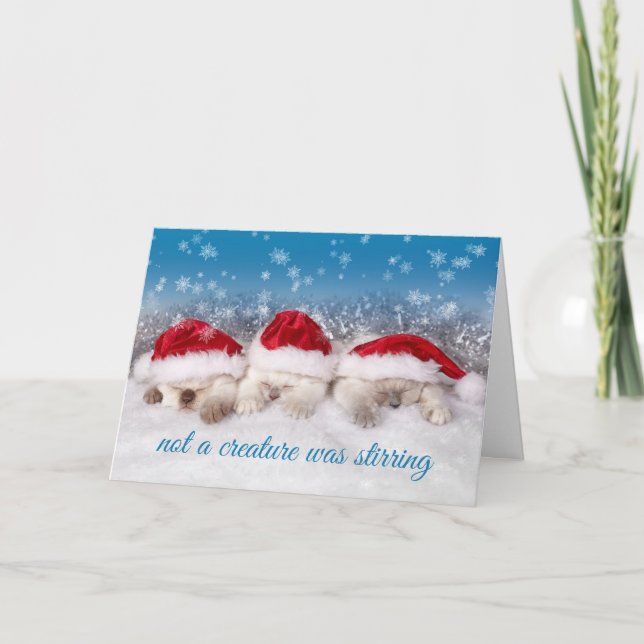 Adsible Kittens in Santa Hats Sleeping Helgkort (Framsida)