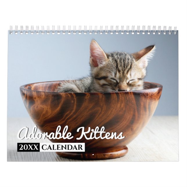 Adsible Kittens Photo Wall Calendar Kalender (Omslag)