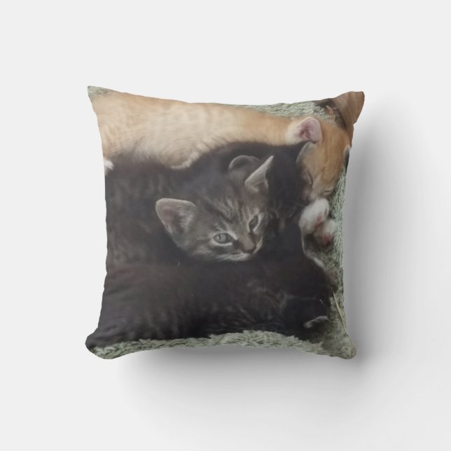 Adsible Kittens Pillow Kudde (Framsida)