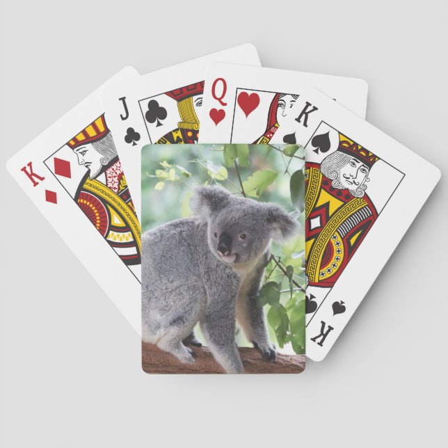 Adsible Koala Bear Träd Grönt Lövs Wildlife Casinokort (Baksidan)
