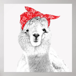 Adsible Llama Wearing a Red Bandana Poster