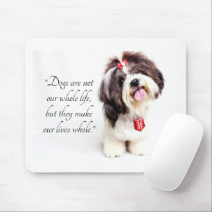 Adsible Loely Shih Tzu Puppy Musmatta