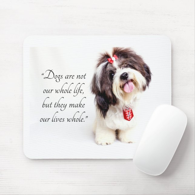 Adsible Loely Shih Tzu Puppy Musmatta (Med mus)