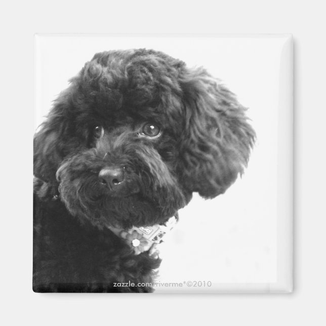 Adsible Loving Friend Magnet (Framsidan)