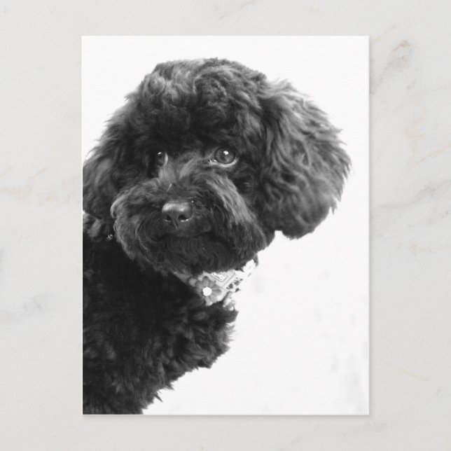 Adsible Loving Friend Vykort (Framsida)