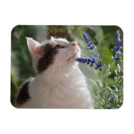 Adsible Loving Kitten i Garden Magnet