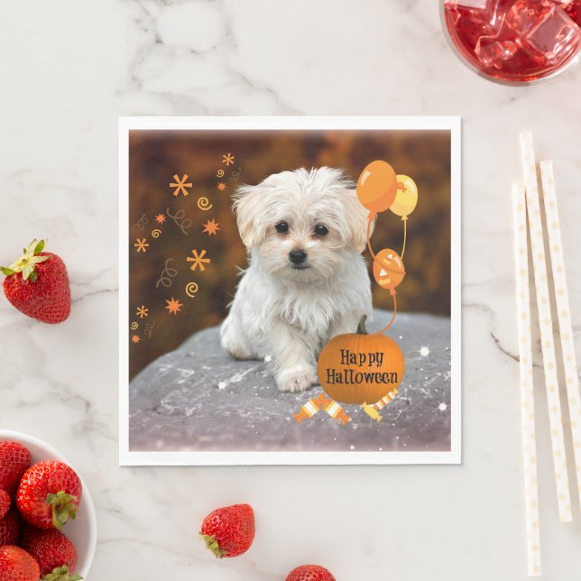 Adsible Maltese Puppy Celebrates Halloween Pappersservett (Insitu)