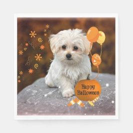 Adsible Maltese Puppy Celebrates Halloween Pappersservett