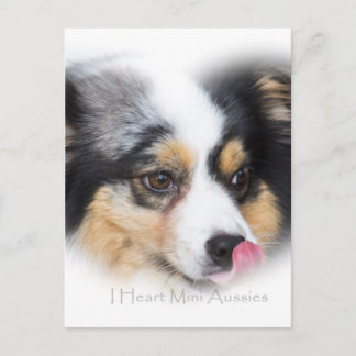 Adsible Mini Aussie Gift Assortment Vykort
