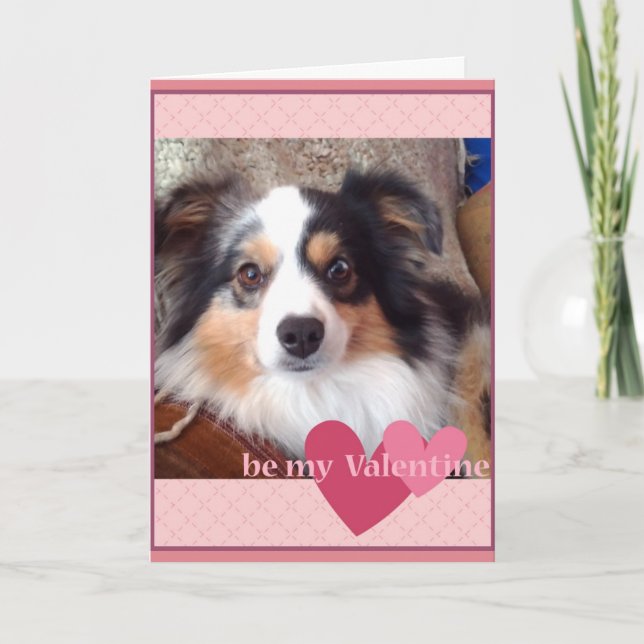 Adsible MinI Australian shepherd Valentiness Card Helgkort (Framsida)
