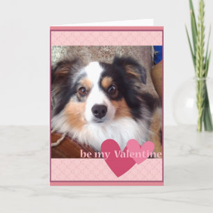 Adsible MinI Australian shepherd Valentiness Card Helgkort