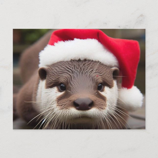 Adsible Otter Santa Hat Vykort (Framsida)
