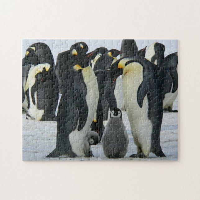 Adsible Penguin Family Arktis Wildlife Pussel (Horisontell)