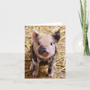 Adsible Piglet Blank Card Kort