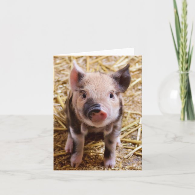 Adsible Piglet Blank Card Kort (Framsida)