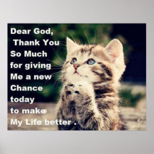 Adsible Praying Kitten Poster