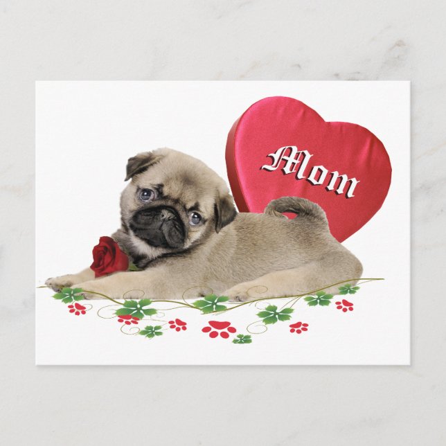 Adsible Pug Mamma Design Vykort (Framsida)