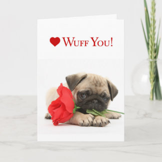 Adsible Pug Puppy Valentine med Röd ros Helgkort