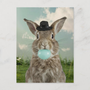 Adsible Rabbit in hat Chewing Blue Bubble Gum Vykort