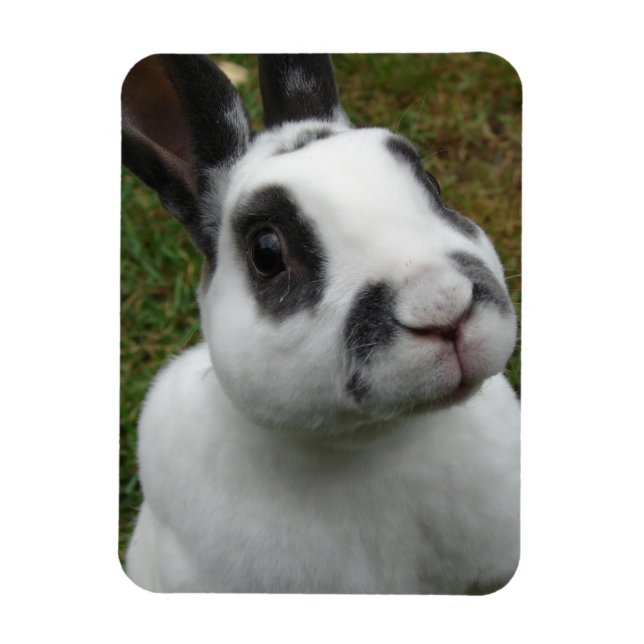 Adsible Rabbit Magnet (Vertikal)