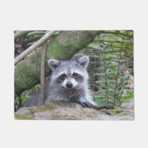 Adsible Raccoon Doormat
