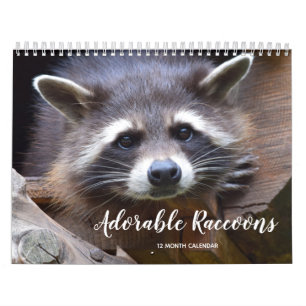 Adsible Raccoons 2026 Kalender