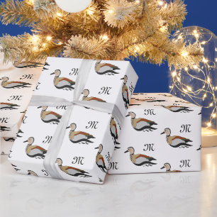 Adsible Ringed Teal Anka Swimming Presentpapper