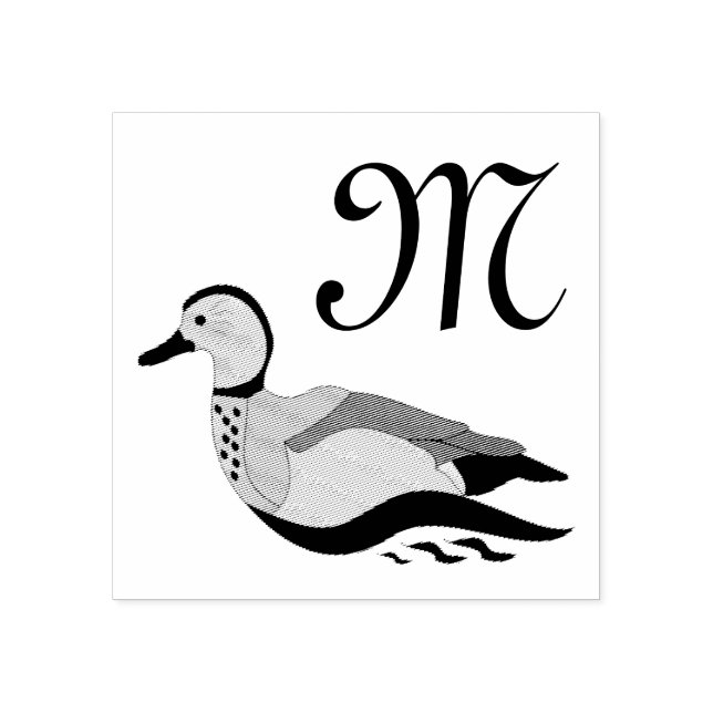 Adsible Ringed Teal Anka Swimming Stämpel (Tryck)