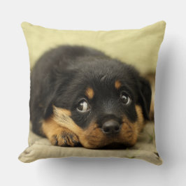 Adsible Rottweiler Puppy Kudde
