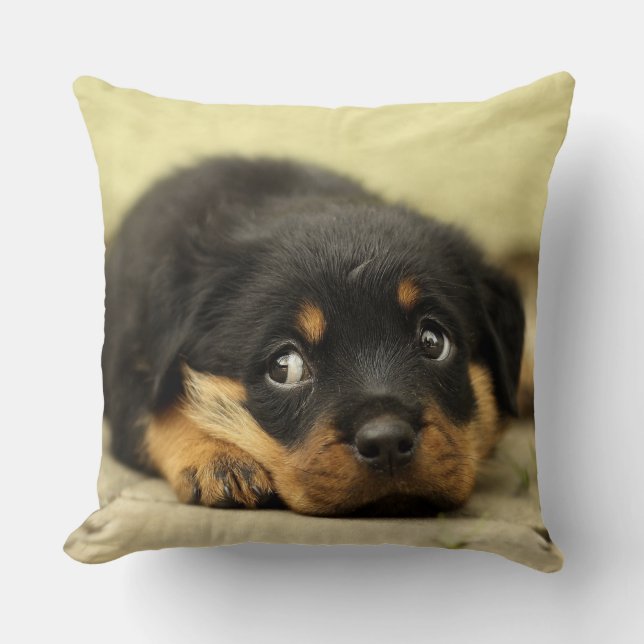 Adsible Rottweiler Puppy Kudde (Framsida)