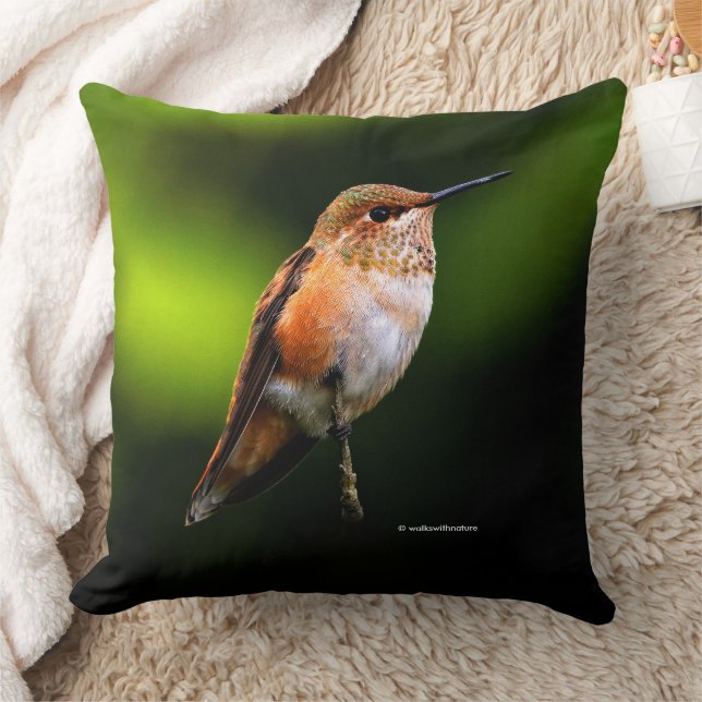 Adsible Rufous Hummingbird on Fruit Träd Kudde (Filt)
