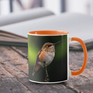 Adsible Rufous Hummingbird på Gren Mugg