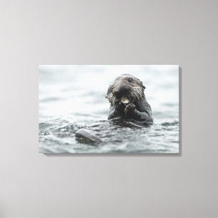 Adsible Sea Otter Canvastryck