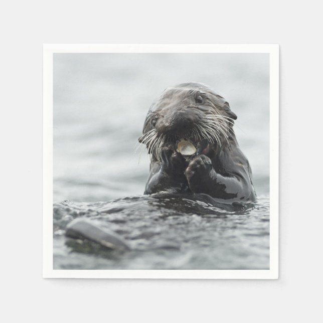 Adsible Sea Otter Pappersservett (Framsidan)