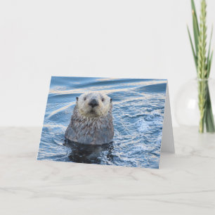Adsible Sea Otter Peeks Kort