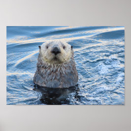 Adsible Sea Otter Peeks Poster