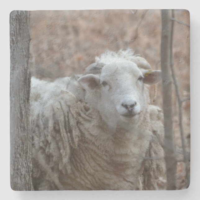 Adsible Sheep Stenunderlägg (Framsidan)